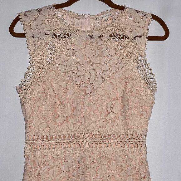 Main Strip Sleeveless Crochet Lace Knee Length Dress Nude Womens Size Medium - Picture 6 of 10